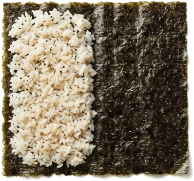 1. Posição da Alga e Distribuição do Arroz