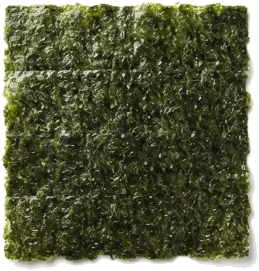 O que é alga nori e como é fabricada