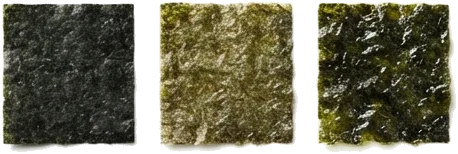 Tipos de nori: Yaki-Nori, Nama-Nori e Ajitsuke-Nori